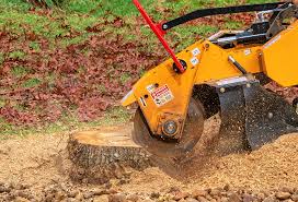 Best Tree Trimming and Pruning  in Shamokin Dam, PA
